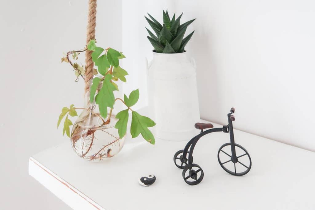 Housingleon- Casa Oliva Con Garaje Lejlighed Eksteriør billede