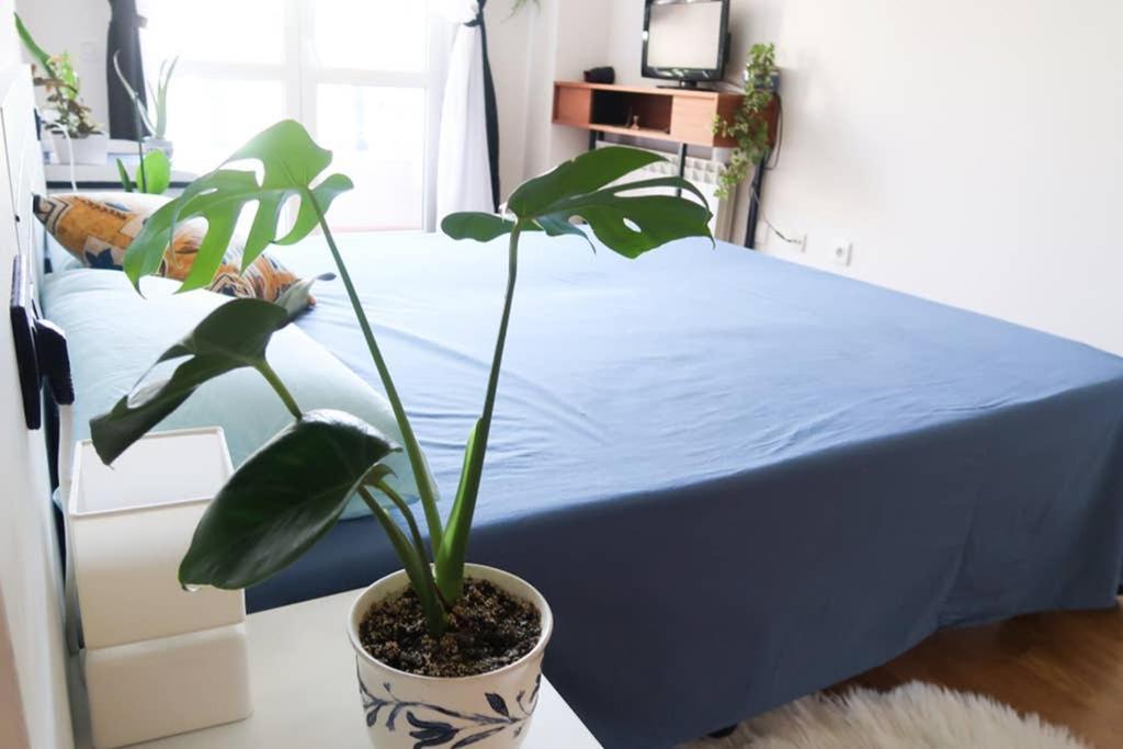 Housingleon- Casa Oliva Con Garaje Lejlighed Eksteriør billede